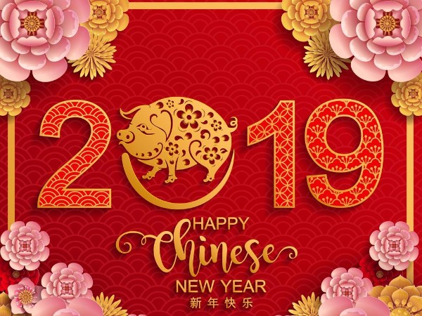 金豬送喜辭舊歲，雙志陪您慶新春！